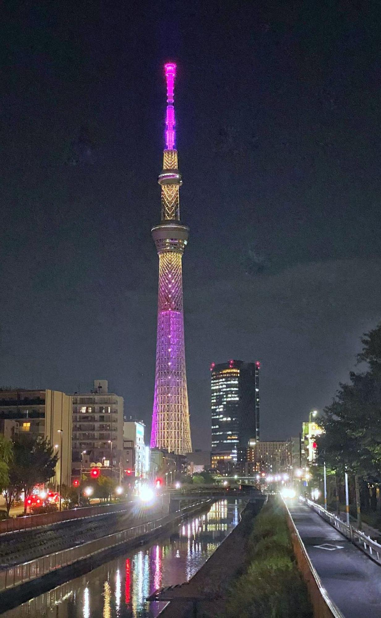 Tokyo Sakura Hotel Exteriér fotografie